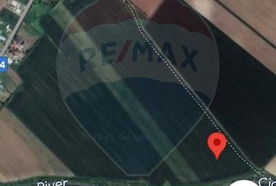 Teren Draganeasca-Ulmi / DJ 404 Jud Giurgiu - 3