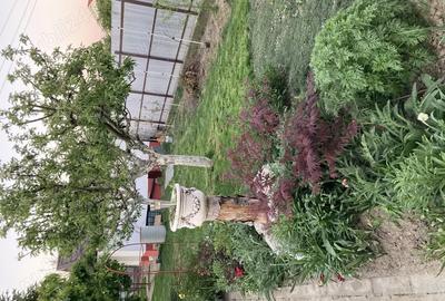 Vila in Lilieci - 8