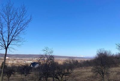 Teren de 6044 mp, în Boldești - 1