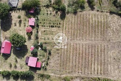 Teren pentru constructii case de vanzare Iasi, Mogosesti, - 20