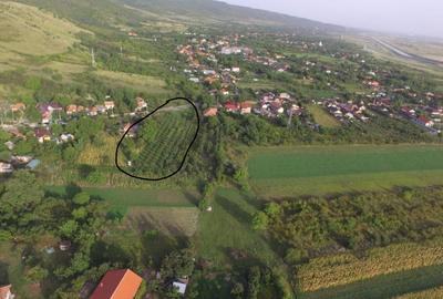 Spațiu comercial, în Pleșești - 3