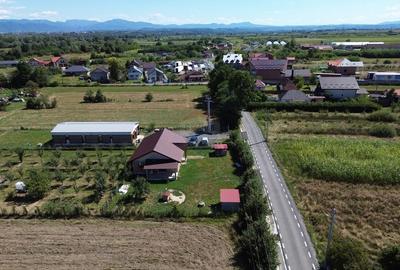 Spațiu comercial, de 150 mp, în Lăpuș - 8
