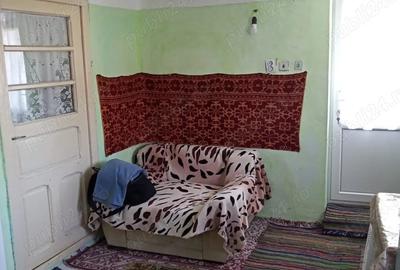 Casa la ?ara cu teren 1000 mp + posibilitate teren suplimentar 1922 mp Baneasa, judetul Giurgiu - 2