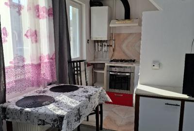 Apartament 2 camere ultracentral ( zona pietonala ) - 7