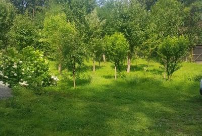 Casa de vacanta pe valea Avrigului - 8