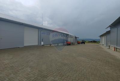 Depozit refrigerare de 292mp Dumbraveni, Suceava - 2