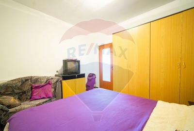 Imobil renovat, 2 apartamente, gradina ?i garaj Turnu - 12