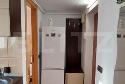 Apartament 3 camere langa Parcul Tatarasi - 4