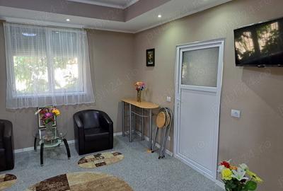 Garsonieră semidecomandată în Ferentari - 4