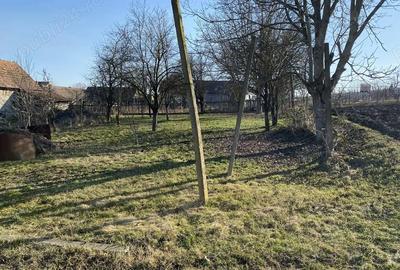 Casă cu 2 camere în Central - 1