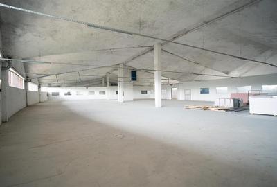 Spațiu industrial, de 2,032 mp, în Est - 5