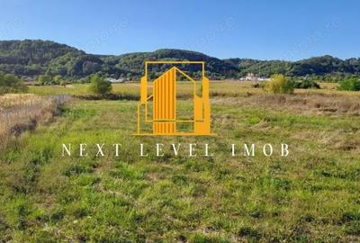 Teren de 4924 mp, în Purcăreni (Micești) - 1