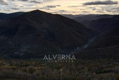 OPORTUNITATE | Teren intravilan | 34.625 mp | Plopi - Valea Ierii - 2