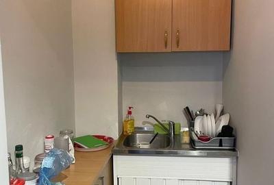 Apartament 3 camere, renovat, pretabil firmă, Națiunile Unite - 9