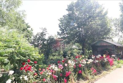 Casa deosebita in V.Lupului Casa deosebita in V.Lupului - 30