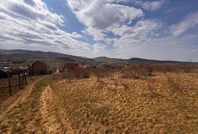 Teren Construcții extravilan de 1200 mp, în Nord-Vest - 2