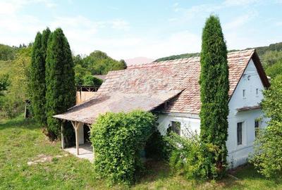 Casa de vacan?a in sat sasesc, Moarda? jude?u... - 2