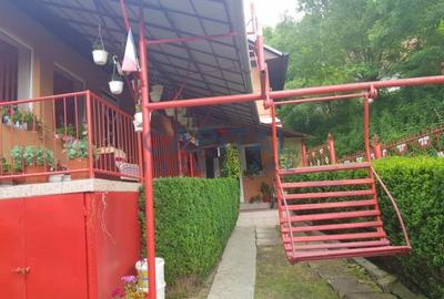 Casa la munte cu teren de 943 mp - 3