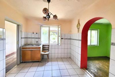 Casa 3 camere, Strada Izvorului, 306mp curte - 18