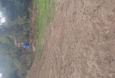 Exclusivitate teren Intravilan Lumina - 2