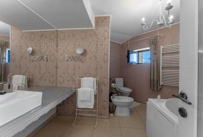 Vanzare Cladire Unica – 680 mp Utili – Curte + Deschidere la 2 Strazi – Mazepa 2 - 12