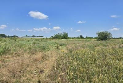 Teren Troitei 450 mp Adunatii Copaceni apropiere Bucuresti jud Giurgiu - 5