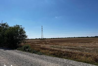Teren de 12500 mp, în Periș - 2