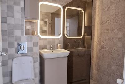 Apartament cu 3 camere decomandat, mobilat în Albert - 11