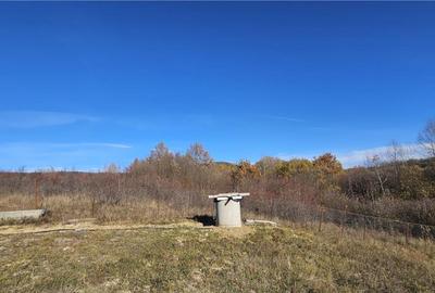 Rezidenta noua, oportunitate personalizare, peste 1.500mp, P - 7