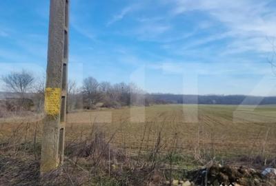 Teren în Lipănești - 2