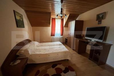 Casa cu destinatii multiple, 8900 mp teren, Vatra Moldovitei - 2