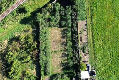 Teren 1594 mp intravilan - Suceava - Scheia! - 4