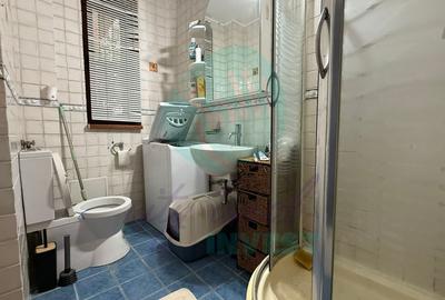 Liniște și intimitate în inima cartierului Kiseleff - 8