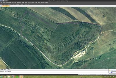 TEREN AGRICOL ( LIVADA NUCI) - 1
