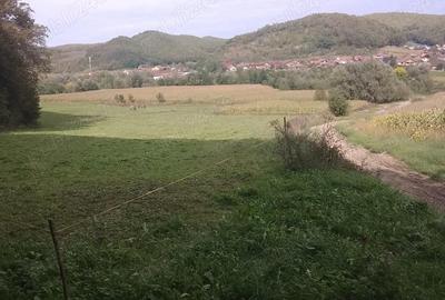 Teren de 5600 mp, în Nord - 7
