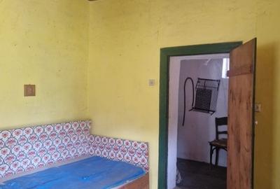 Terenuri arabile + teren intravilan cu casă – Teghea, Satu Mare Terenuri arabile + teren intravilan cu casă – Teghea, Satu Mare - 3