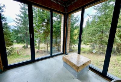 Cabana de vanzare, langa Partia Marisel, comision 0% Cabana de vanzare, langa Partia Marisel, comision 0% - 11