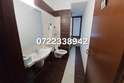 Penthouse triplex, panoramic, bloc boutique in Piata Dorobanti - 4