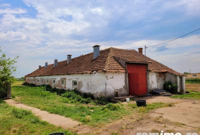 Domeniu, 9,5 ha, 25 KM de Timisoara - 19