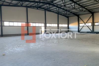 Hala industriala 600 mp, curte 1398 mp, parcare, toate utilitatile - Ghiroda - 2