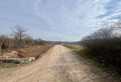 Teren Construcții intravilan de 802 mp, în Pișchia - 7