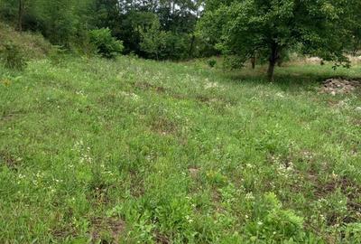 Un loc de vis(casa in constructie)urgent Un loc de vis(casa in constructie)urgent - 4