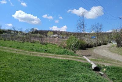 Teren de 1150 mp, în Dămienești - 4
