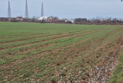 Teren intravilan ieftin Balotesti, 1100 mp, 25000 euro - 7