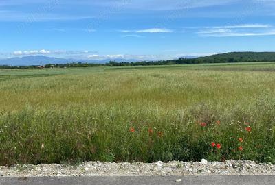 Teren in Galicea, ideal pentru casa sau afacere - 3