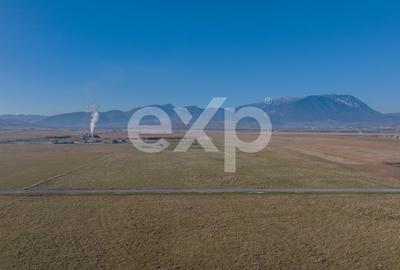 Teren 11.600 mp – Rasnov, zona Tabara, 230 m de DN 73 - 5