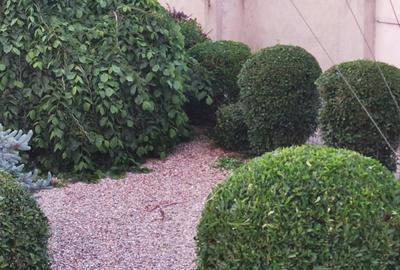 Casă cu 3 camere în Dănești - 5