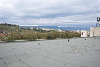 Cladire industriala cu potential mixt - productie, depozitare, servicii -Toplita Cladire industriala cu potential mixt - productie, depozitare, servicii -Toplita - 9