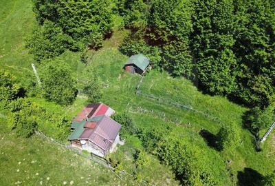 Comision 0%! Proprietate in natura, priveliste superba, S... - 9