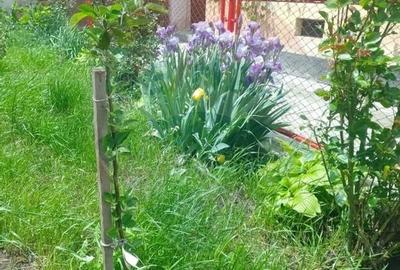 Casa langa Viscri de vanzare/schimb cu ap 2 cam Brasov - 16